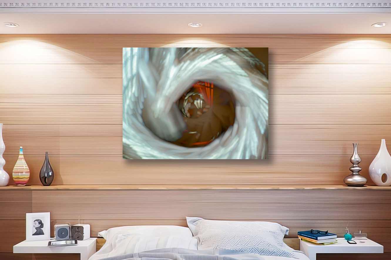 Eye